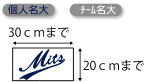 個人名・チーム名大